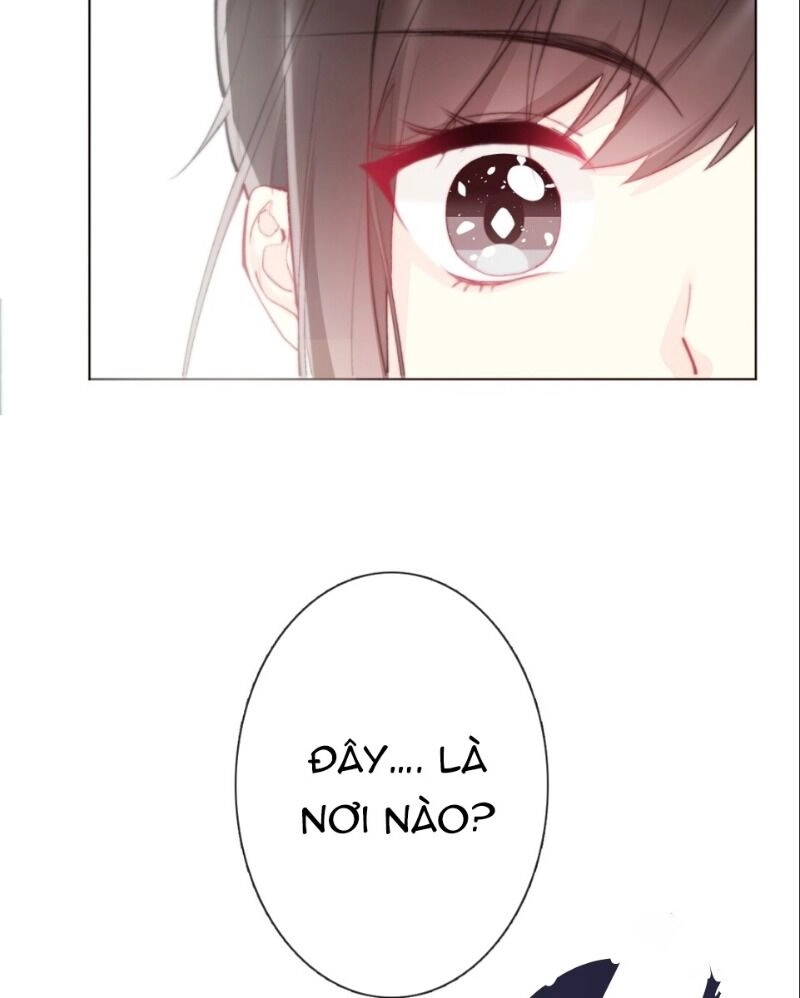 Tôi Bị Ép Trở Thành Vương Phi Khi Xuyên Tới Thế Giới Khác Chapter 1 - 53