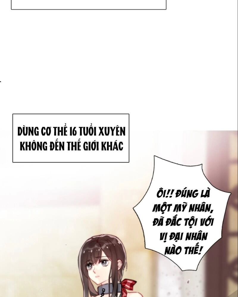 Tôi Bị Ép Trở Thành Vương Phi Khi Xuyên Tới Thế Giới Khác Chapter 1 - 79