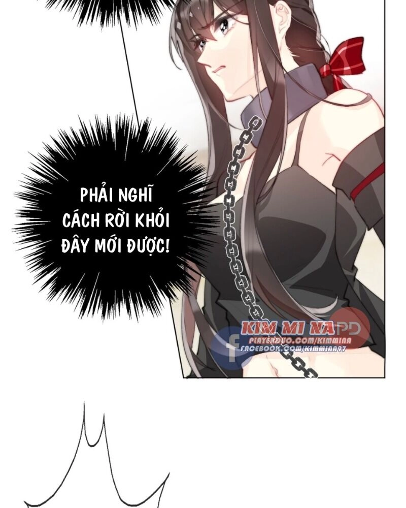 Tôi Bị Ép Trở Thành Vương Phi Khi Xuyên Tới Thế Giới Khác Chapter 1.2 - 8