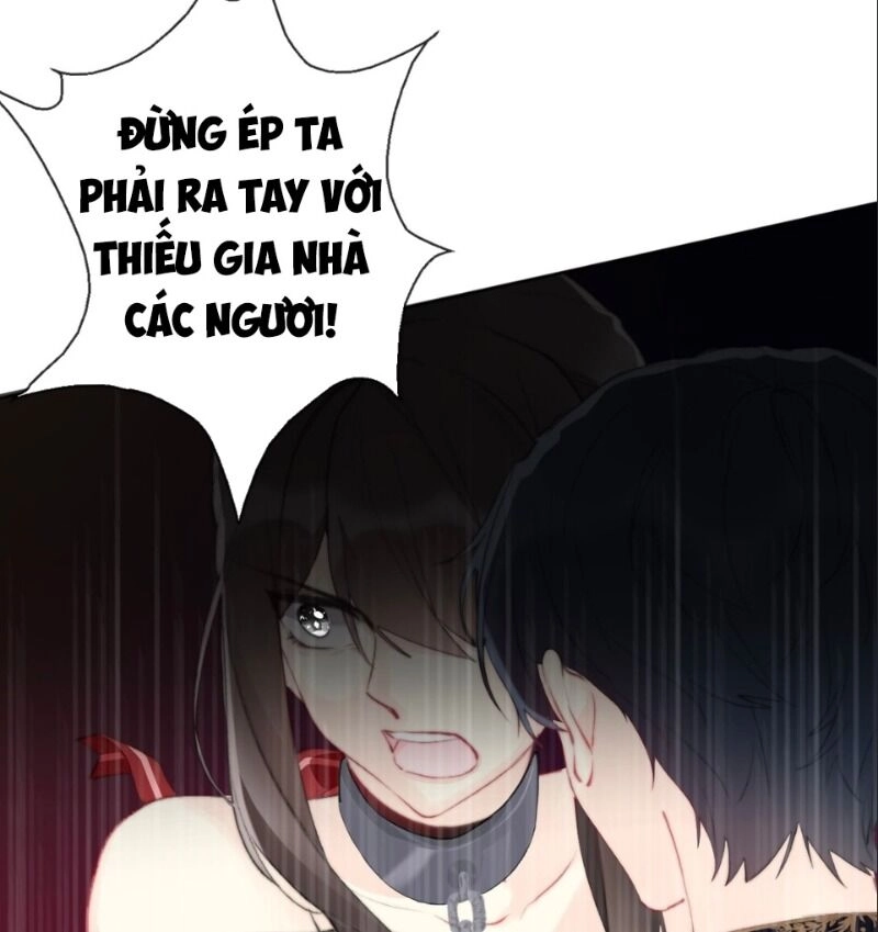 Tôi Bị Ép Trở Thành Vương Phi Khi Xuyên Tới Thế Giới Khác Chapter 1.2 - 85