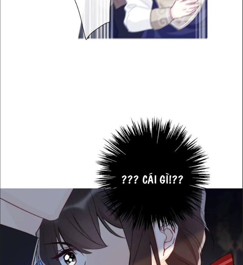 Tôi Bị Ép Trở Thành Vương Phi Khi Xuyên Tới Thế Giới Khác Chapter 2 - 25