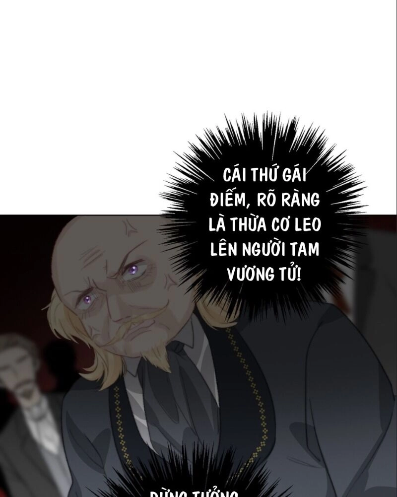 Tôi Bị Ép Trở Thành Vương Phi Khi Xuyên Tới Thế Giới Khác Chapter 2 - 33