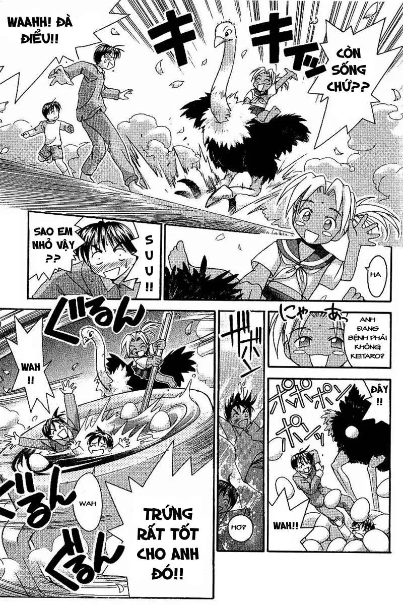 Love Hina Chapter 13 - 15
