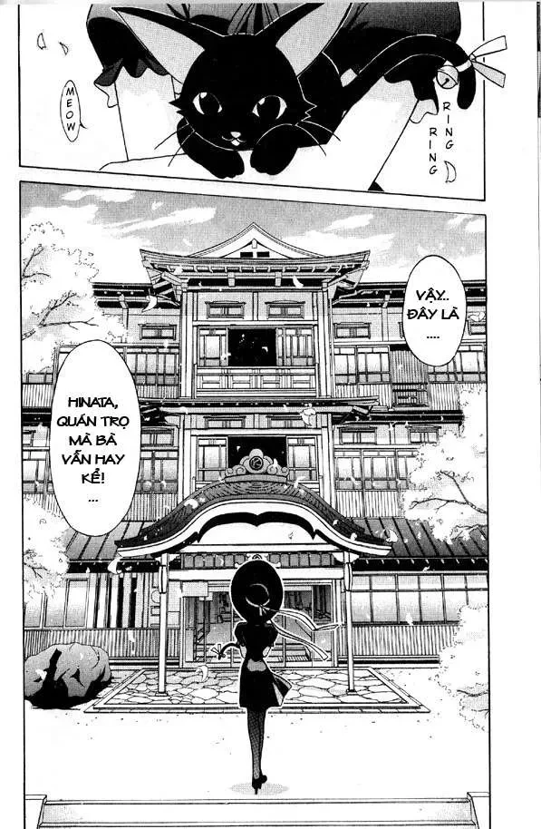 Love Hina Chapter 88 - 25