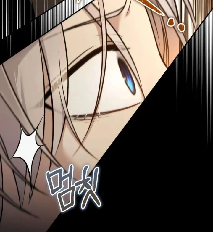 Đứa Con Hoang Cấp 10 Nhà Bá Tước Chapter 2 - 163