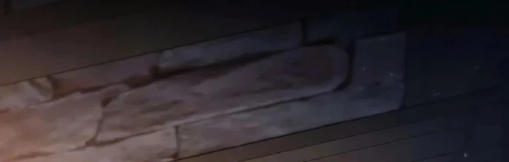 Đứa Con Hoang Cấp 10 Nhà Bá Tước Chapter 3 - 115