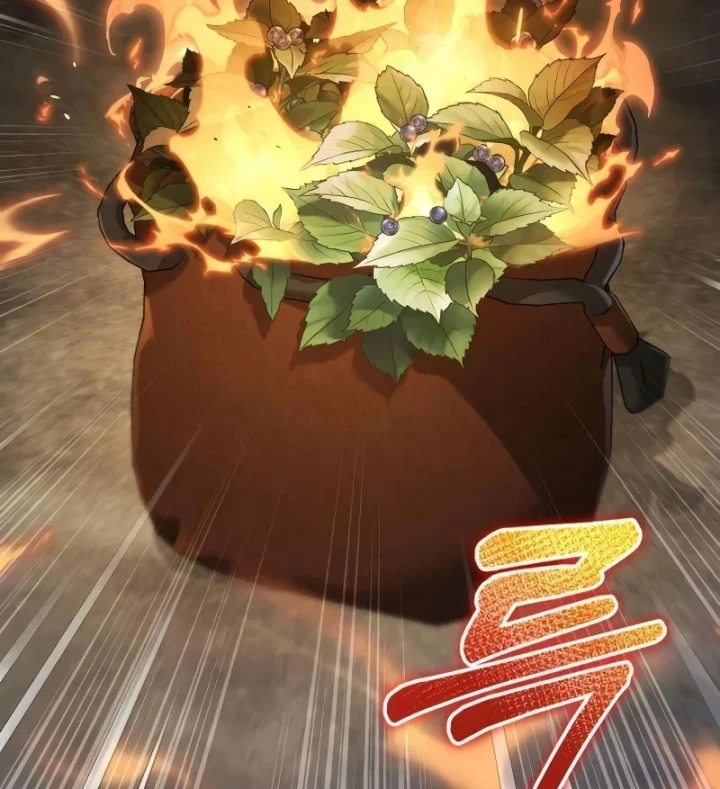 Đứa Con Hoang Cấp 10 Nhà Bá Tước Chapter 3 - 267