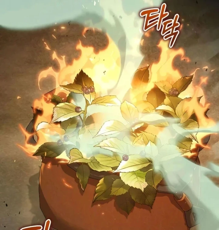 Đứa Con Hoang Cấp 10 Nhà Bá Tước Chapter 4 - 71