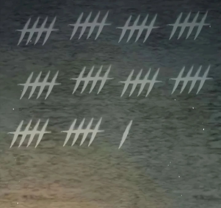 Đứa Con Hoang Cấp 10 Nhà Bá Tước Chapter 1.5 - 117