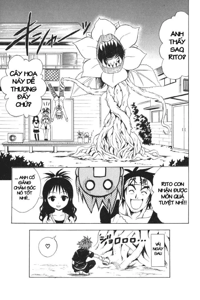 To Love Ru Chapter 27 - 20