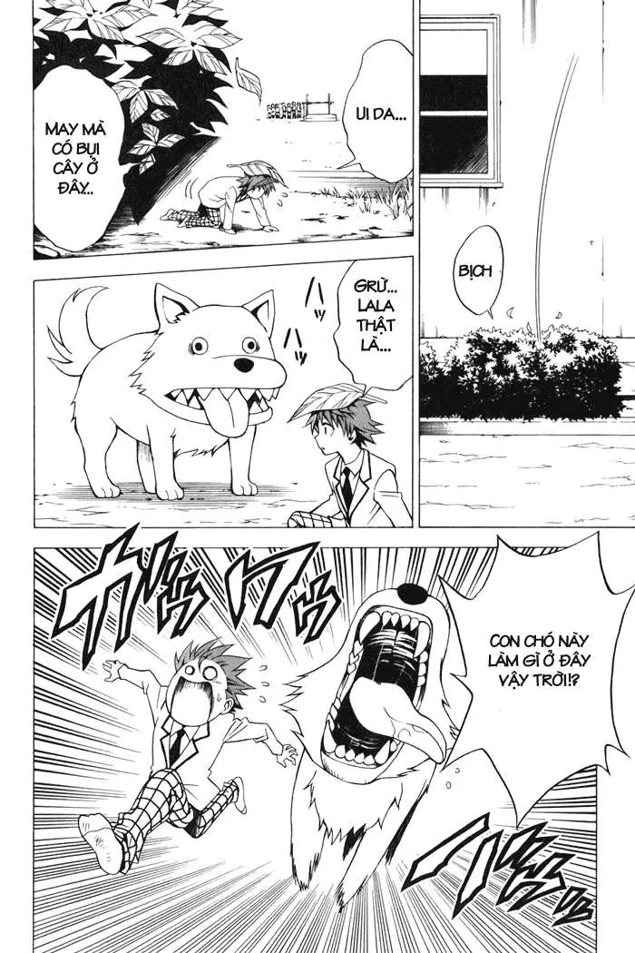 To Love Ru Chapter 29 - 11