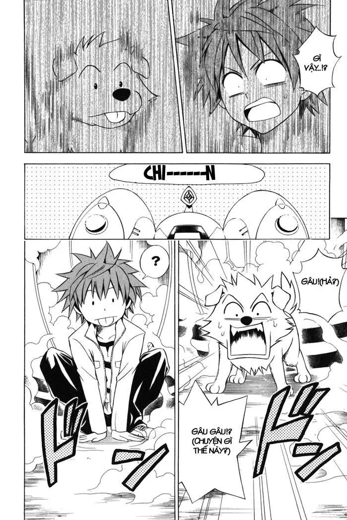 To Love Ru Chapter 43 - 5