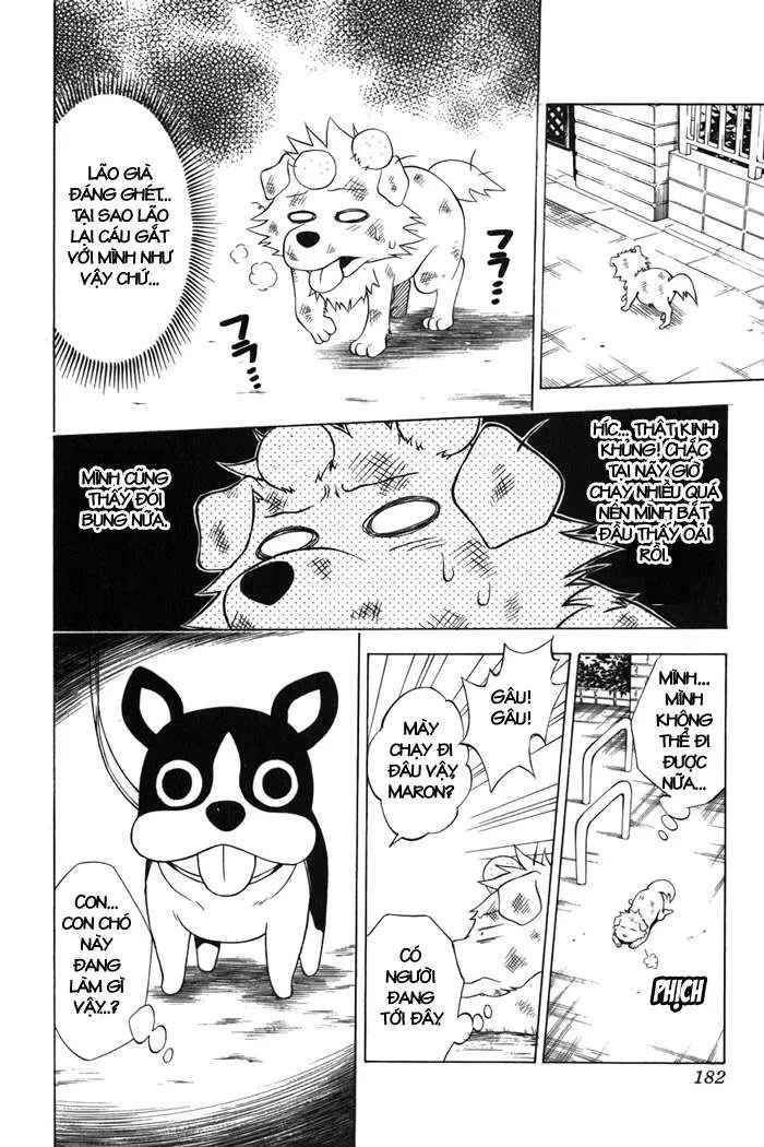 To Love Ru Chapter 43 - 17