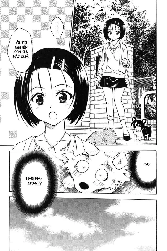 To Love Ru Chapter 43 - 18