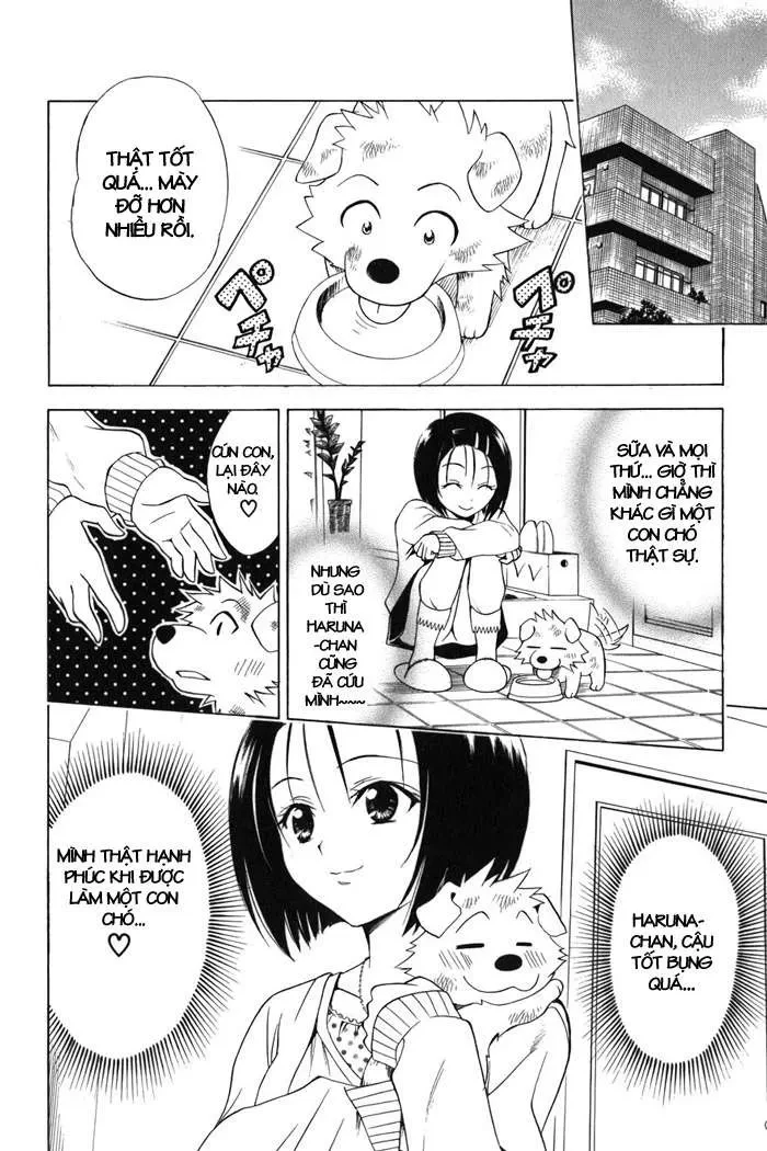 To Love Ru Chapter 43 - 19