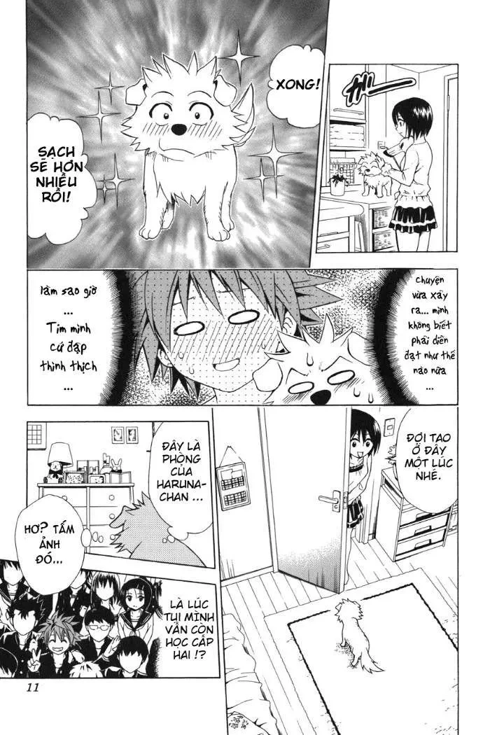 To Love Ru Chapter 44 - 12