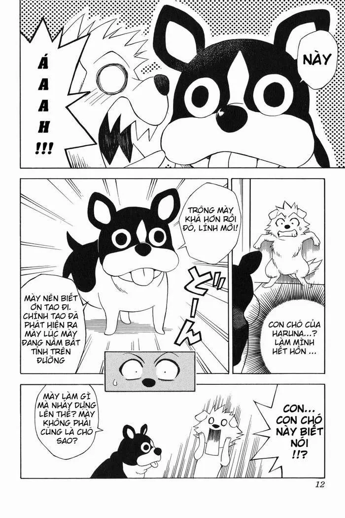 To Love Ru Chapter 44 - 13