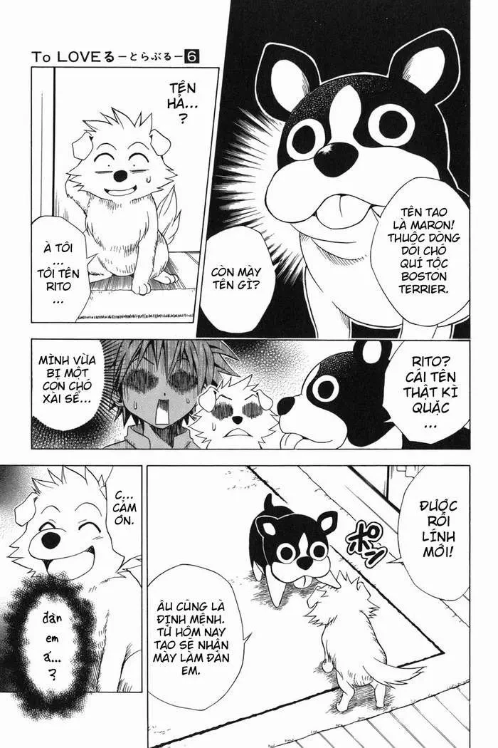 To Love Ru Chapter 44 - 14