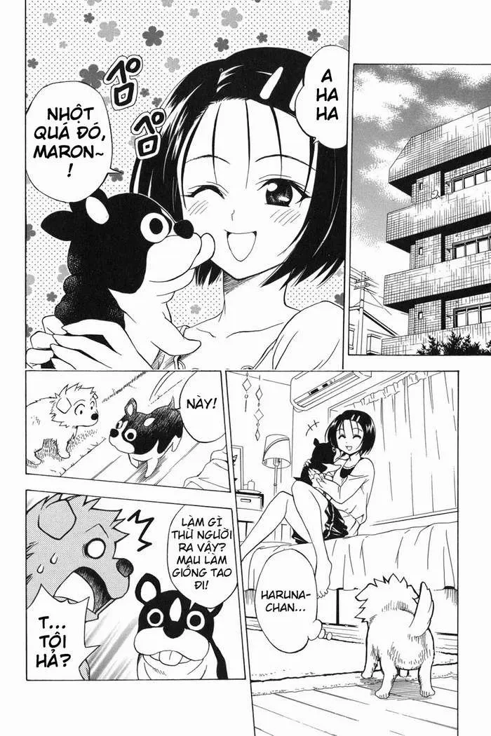 To Love Ru Chapter 44 - 15