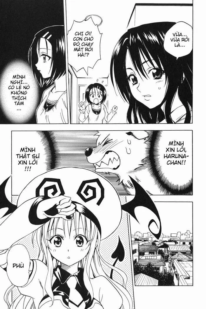 To Love Ru Chapter 44 - 24