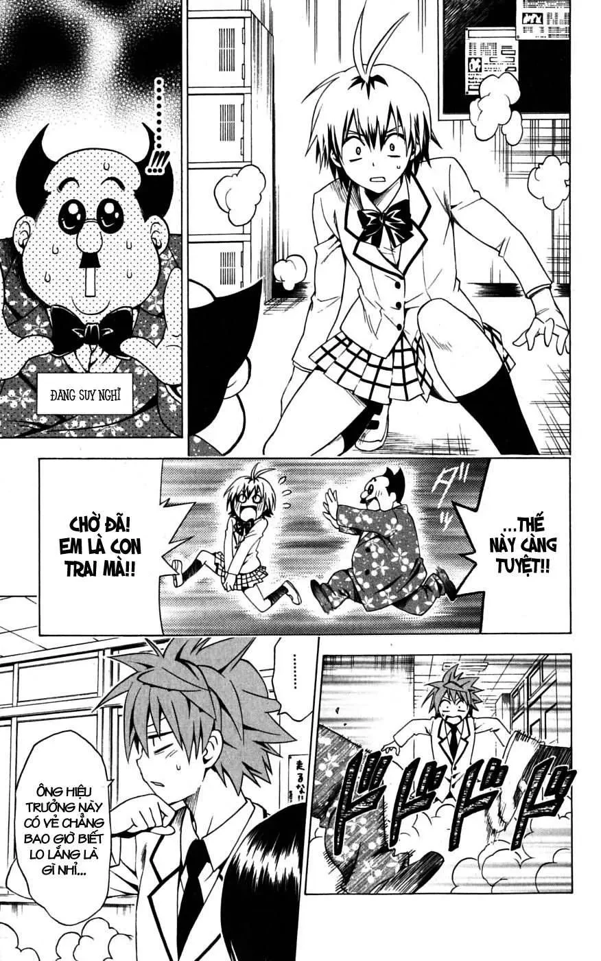 To Love Ru Chapter 99 - 10