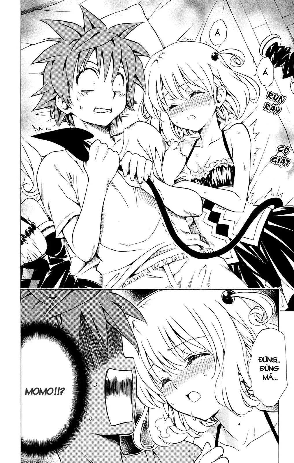 To Love Ru Chapter 116 - 12
