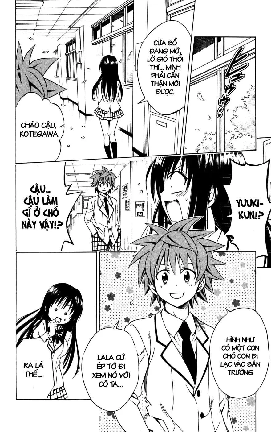 To Love Ru Chapter 142 - 11