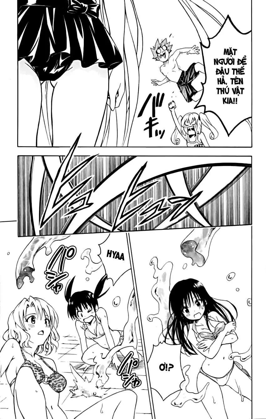 To Love Ru Chapter 160 - 17