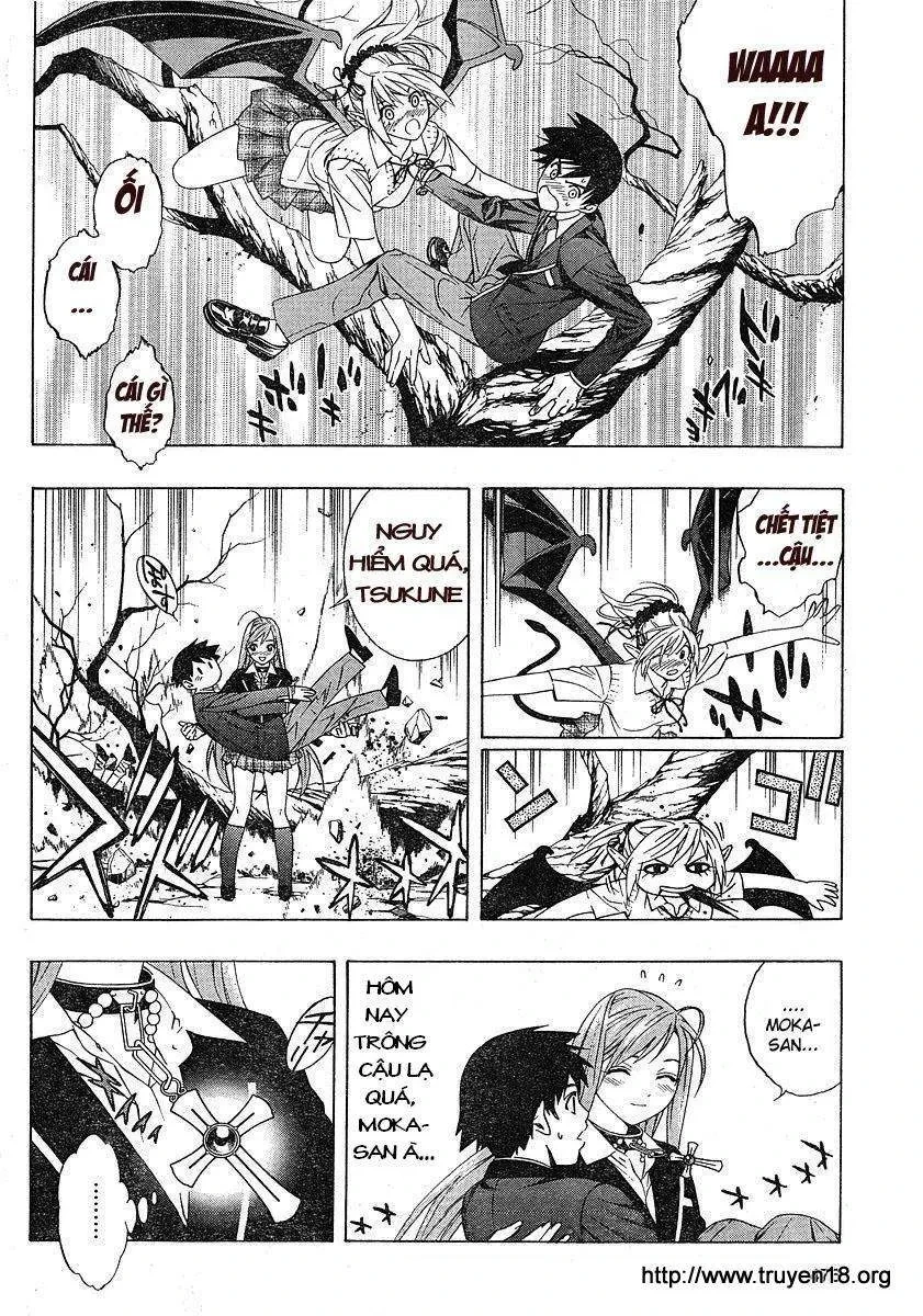 Rosario + Vampire Ss2 Chapter 1 - 31