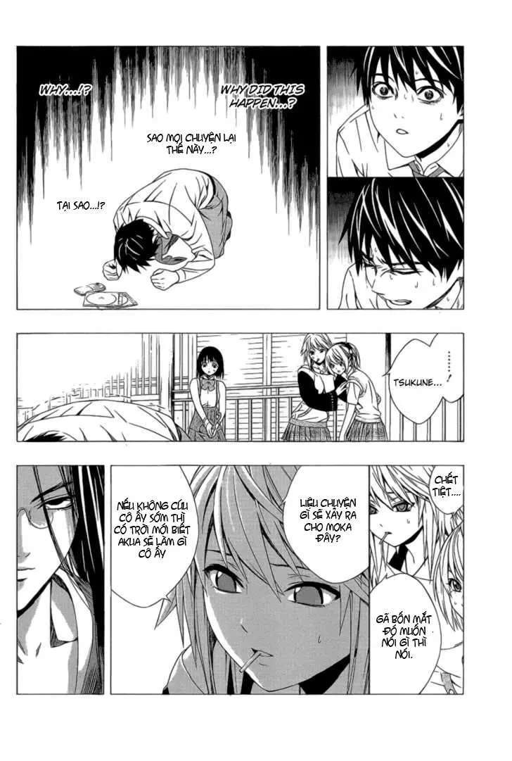 Rosario + Vampire Ss2 Chapter 38 - 19