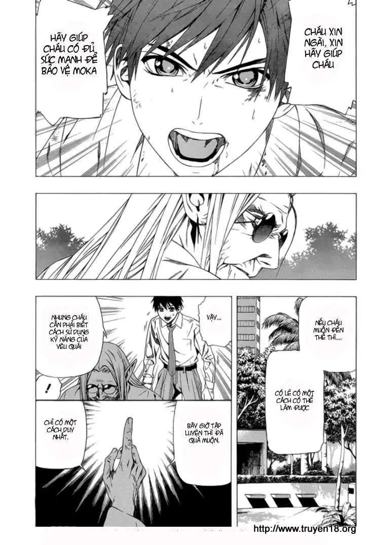 Rosario + Vampire Ss2 Chapter 39 - 19