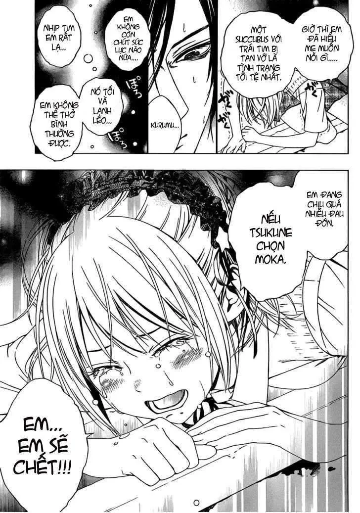 Rosario + Vampire Ss2 Chapter 40 - 19