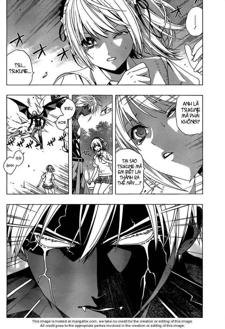 Rosario + Vampire Ss2 Chapter 41 - 4