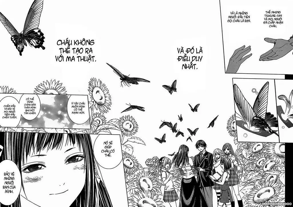 Rosario + Vampire Ss2 Chapter  45 - 19