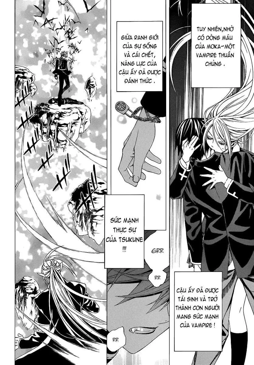 Rosario + Vampire Ss2 Chapter  52 - 4