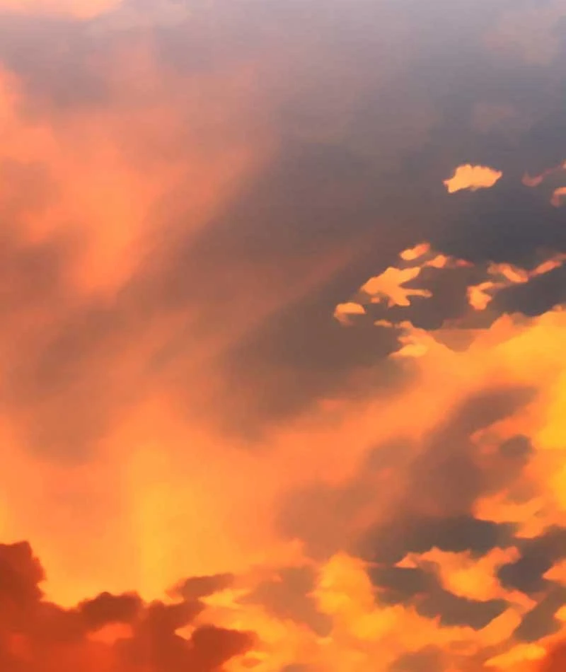 Góa Phụ Tận Thế Chapter  1 - 2