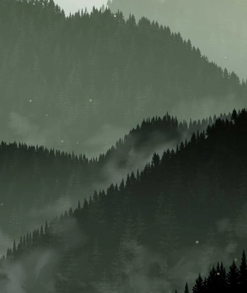 Góa Phụ Tận Thế Chapter  3 - 210