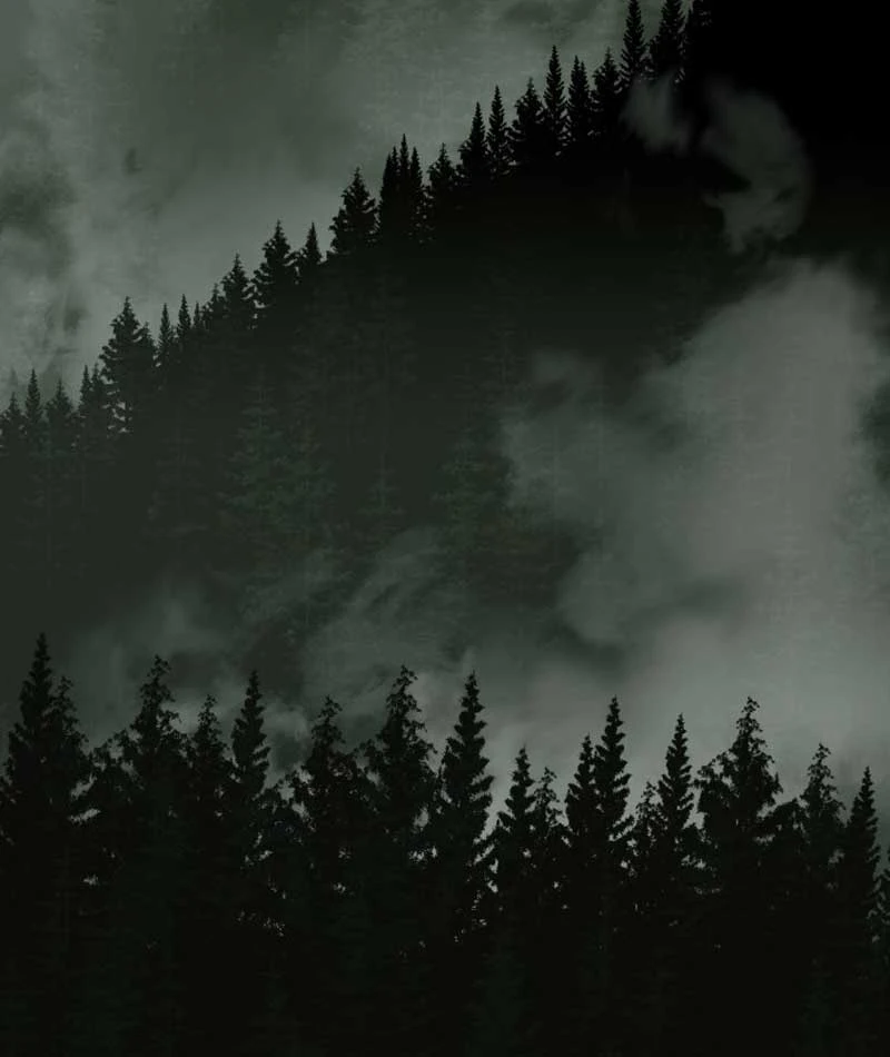 Góa Phụ Tận Thế Chapter  3 - 211