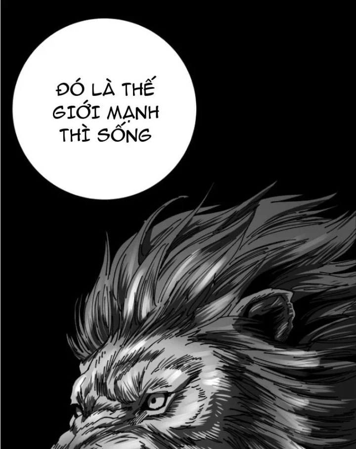 Góa Phụ Tận Thế Chapter 26 - 65