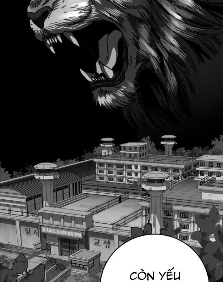 Góa Phụ Tận Thế Chapter 26 - 66