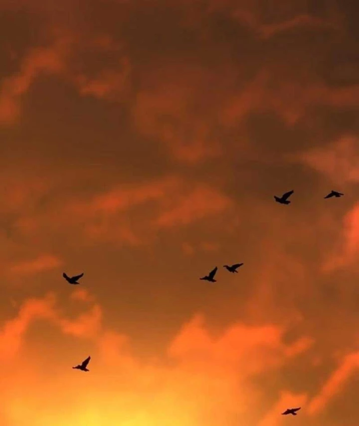 Siêu Sao Trở Lại Chapter 3 - 225