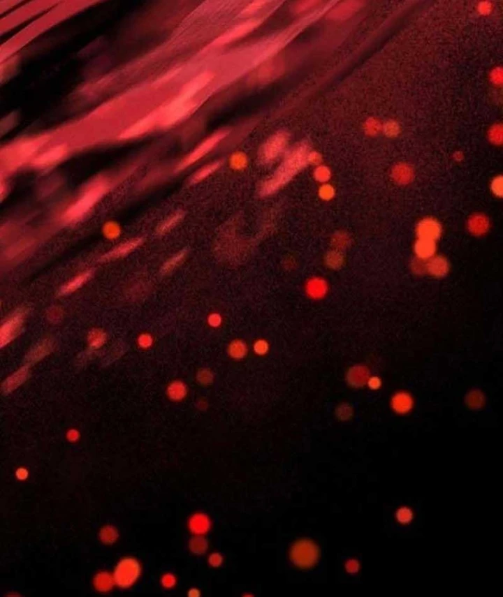 Siêu Sao Trở Lại Chapter 6 - 43