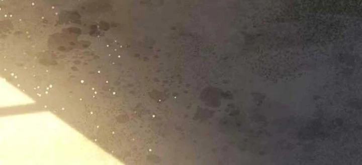 Siêu Sao Trở Lại Chapter 6 - 72