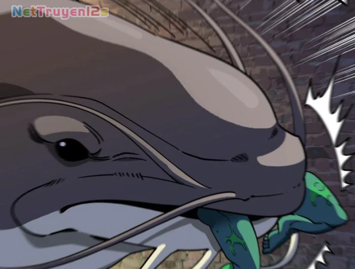 Titan Rèn Sao Chapter 19 - 79