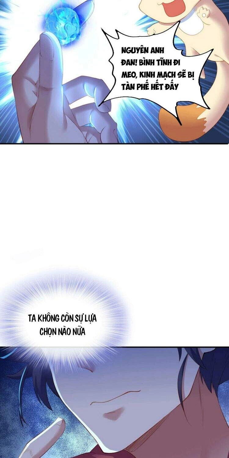 Bắt Đầu Quật Khởi Từ Làm Lô Đỉnh Chapter 2 - 4