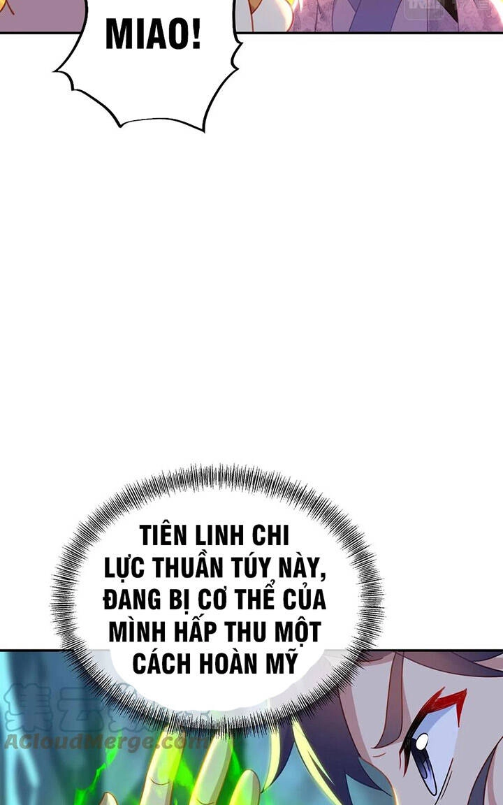 Bắt Đầu Quật Khởi Từ Làm Lô Đỉnh Chapter 46 - 24