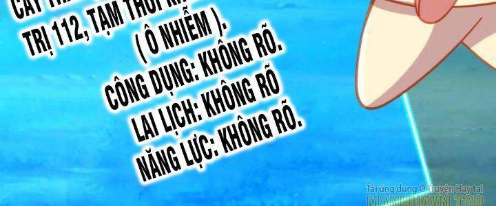 Bắt Đầu Quật Khởi Từ Làm Lô Đỉnh Chapter 71 - 122