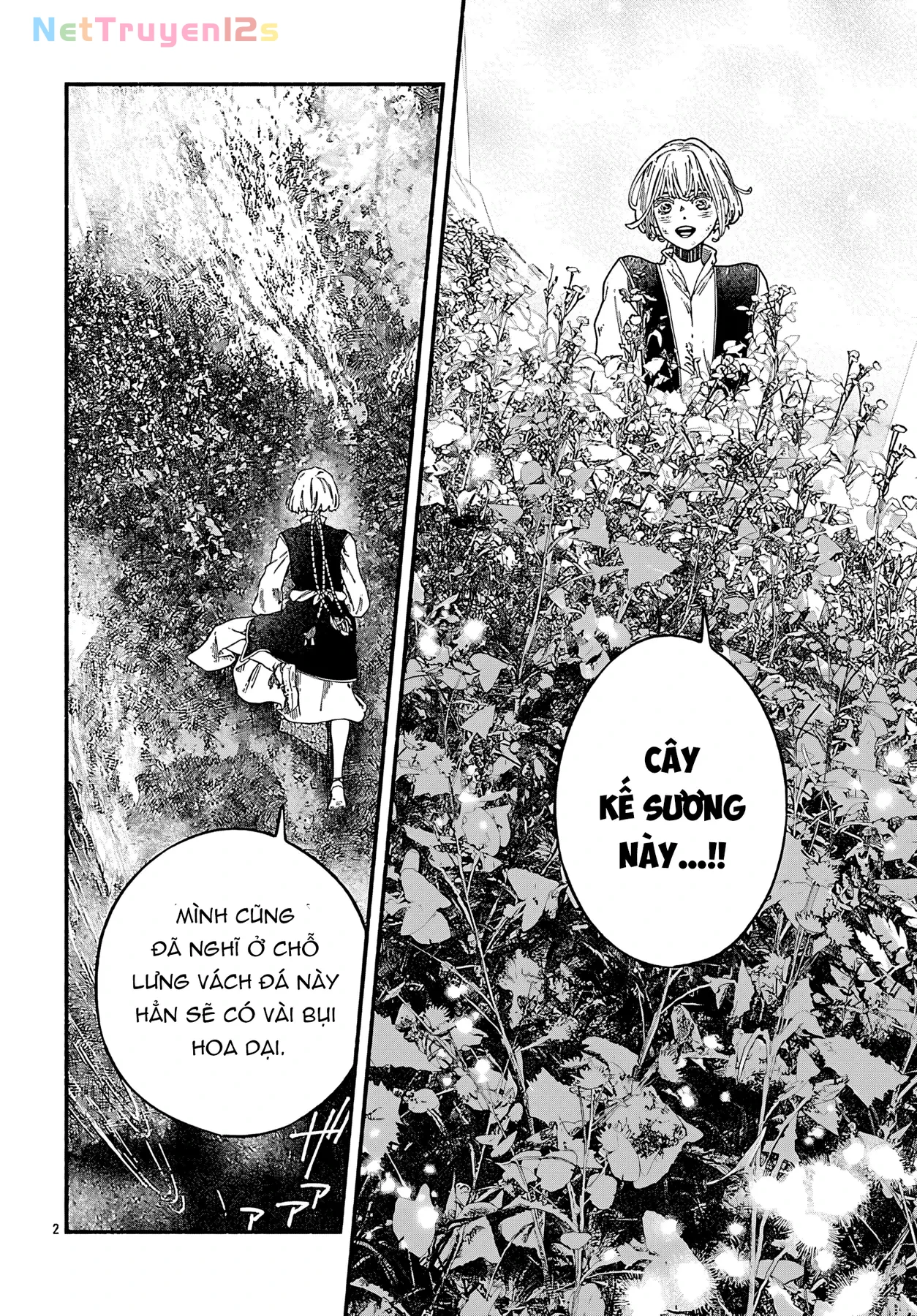 Sắc xanh vùng Balkan Chapter 6 - 6