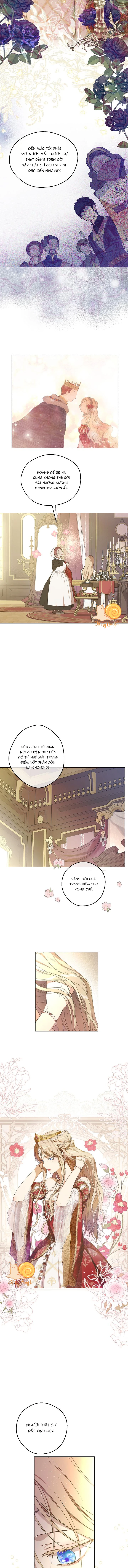 Cánh Đồng Bị Lãng Quên Chapter  1 - 4