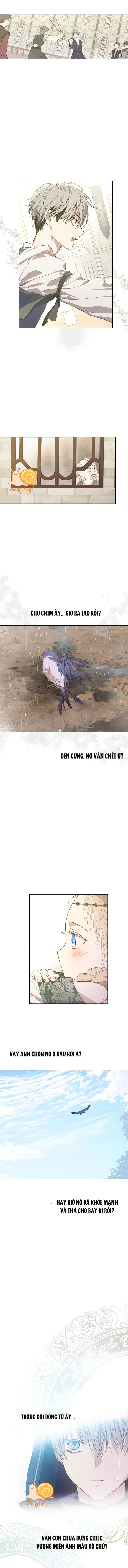 Cánh Đồng Bị Lãng Quên Chapter  5 - 12